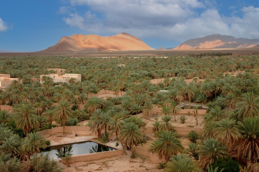 Pourquoi Figuig au Maroc est-elle une destination incontournable ?