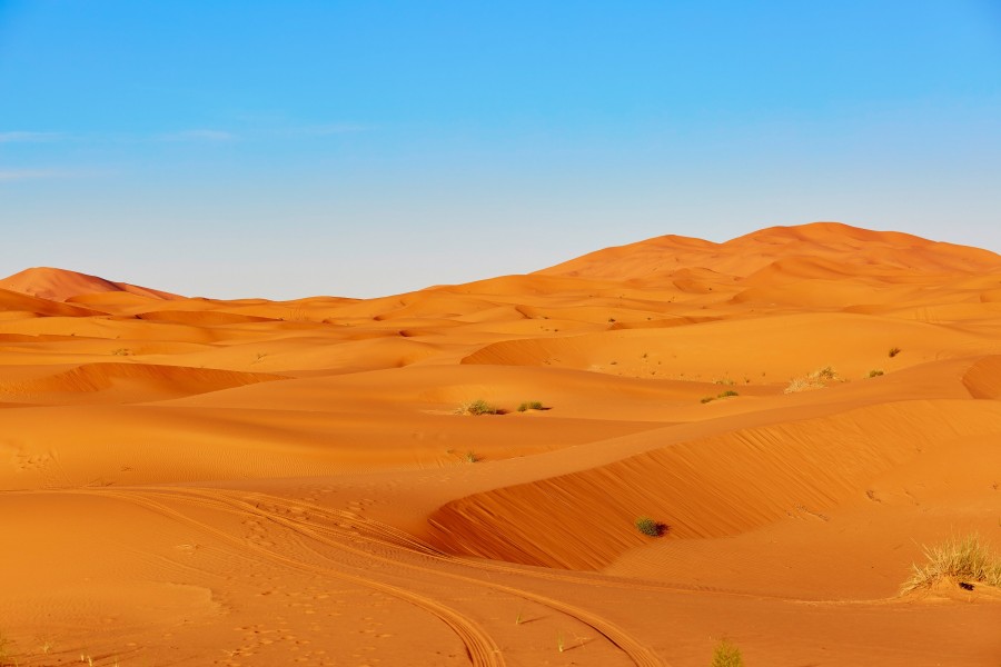 Pourquoi le désert du Sahara est-il fascinant ?