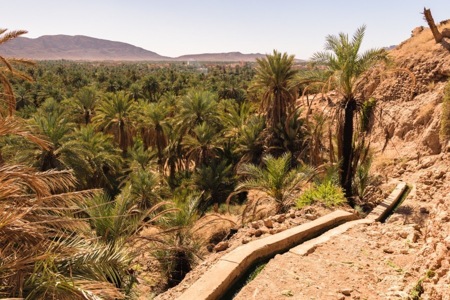 Quelle est la situation géographique de Figuig au Maroc ?