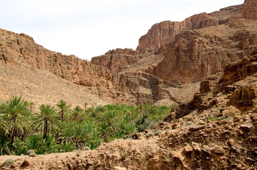 Quelle est l'histoire de l'oasis de Fint au Maroc ?