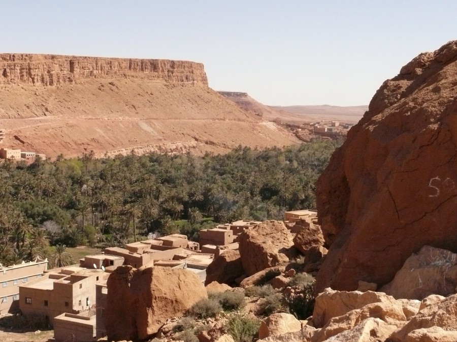 Quelles sont les activités à faire dans l’oasis de Fint au Maroc ?