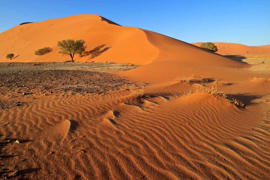 Quels pays sont situés dans le désert du Sahara ?