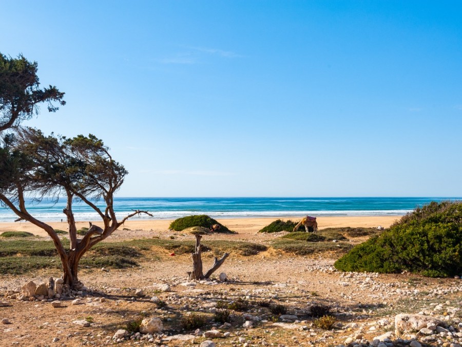 Pourquoi Sidi Kaouki est une destination incontournable au Maroc ?